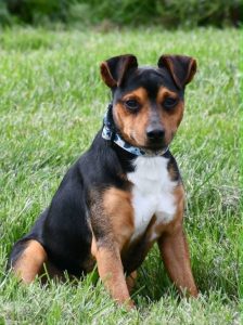 Blaze 8-25-26a (10)