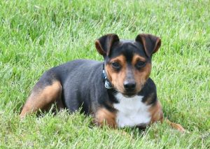 Blaze 8-25-26a (11)
